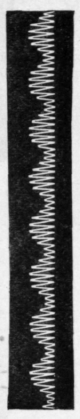 Fig. 2/5D.