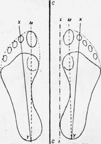Fig 36