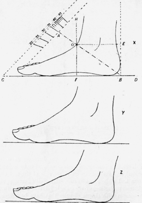 Fig. 39.