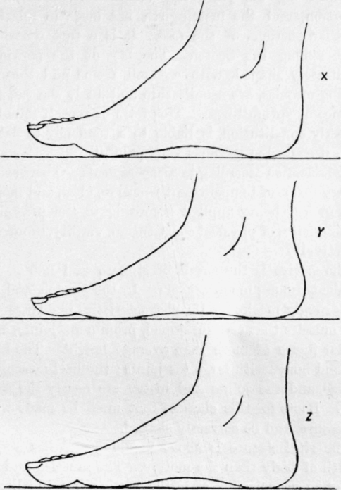 Fig 40.
