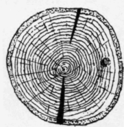 Fig. 80.