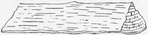 Fig 81