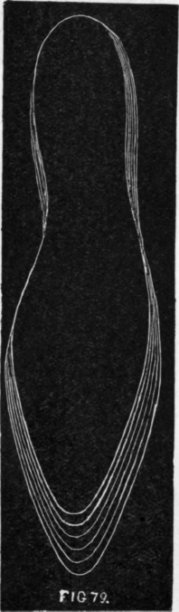 Structure Of Wood 91