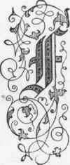 Roman And Brush Letter Alphabets Brush Letters For 616