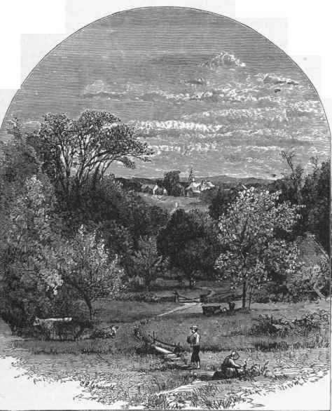 The Crooked Footpath 778