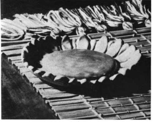 A cattail mat