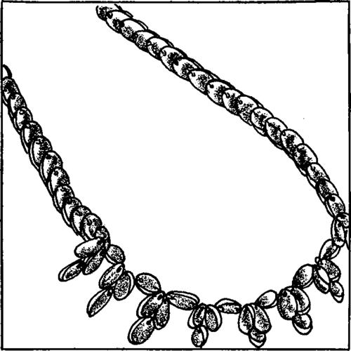 A seed necklace