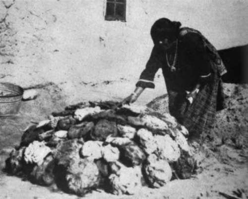 Dung cakes