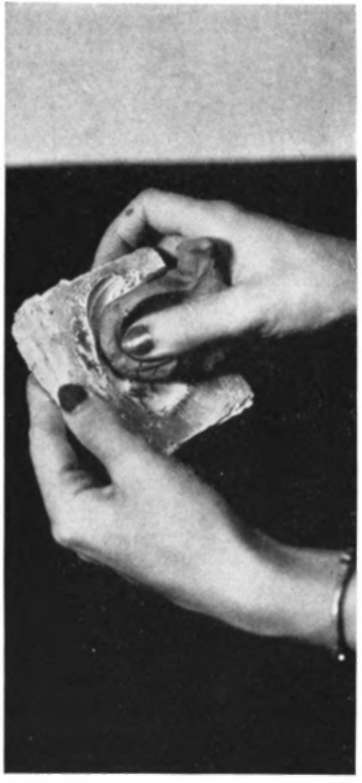 Press the clay into the mold