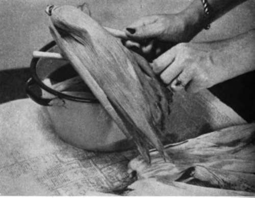 Remove the husks from the dye bath