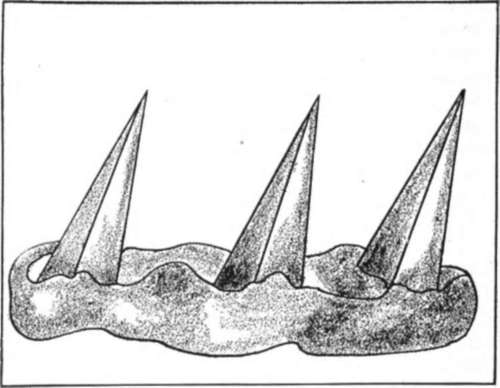 The cones are placed in grog clay