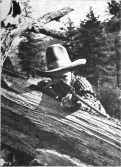 Down timber