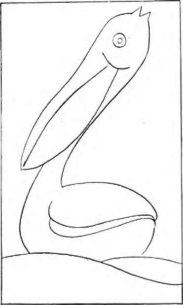 Pelican
