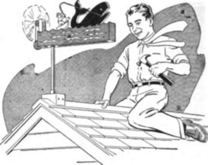 Steeplechase Steve