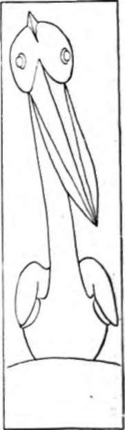 pelican, in a different position