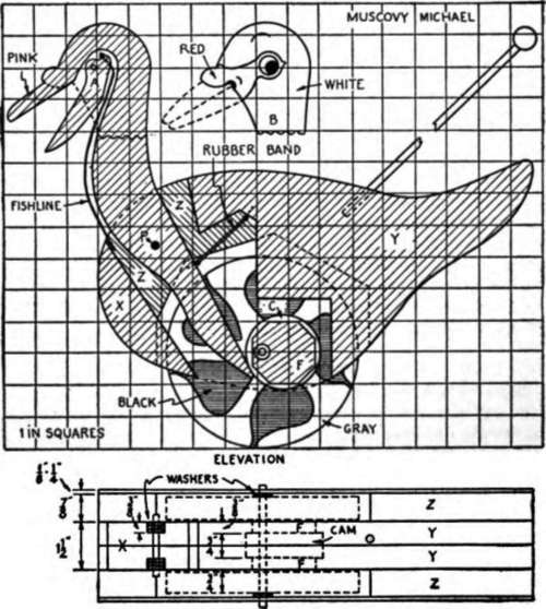 Plan Muscovy Michael
