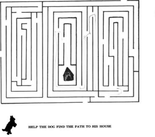 A Maze Puzzle