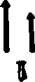 the body