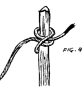 The Fisherman's Knot