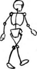 Spine