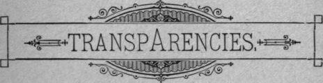 Transparencies 41