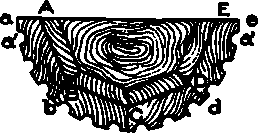 Column Pattern 100368