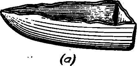 Finding Blank 300382