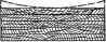 Warping And Twisting Of Wood 100101