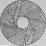 Warping And Twisting Of Wood 100106