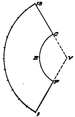 Development of Cone.