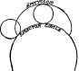 Involute Curves 500356