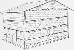 Cage for Starling or Thrush.