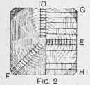 How To Cut Figured Boards From Pitch Pine Logs 8