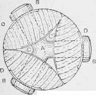 How To Make Three Legged Folding Fishing Stool 20