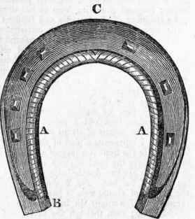 Horse Shoes 670
