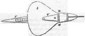 Log 66