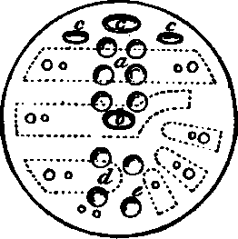 Geneva Watch Part 2 400249