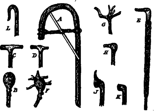 Walking sticks.