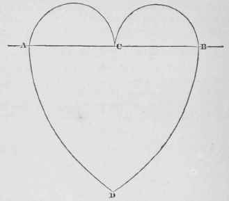 How To Describe A Heart 17