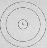 Fig. S6. Concentric Circles.