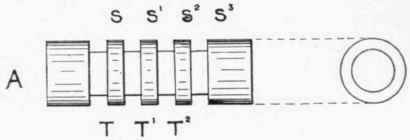 The Press Screw 37