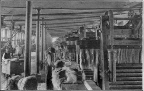 Fig. 112.   Flax hackling done by machine.