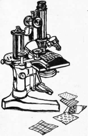 Fig 144.   The microscope reveals many things.