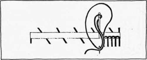 Fig. 30. The buttonhole stitch.