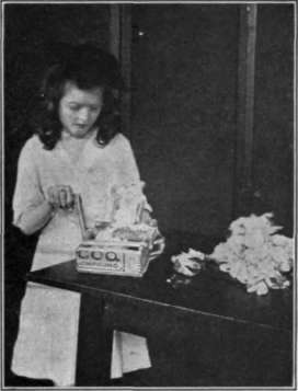 Fig. 9.   A Pleasant Valley girl trying to gin some cotton with a little ginning machine which she has made at school.