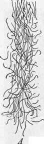 Lesson 6 Some Facts To Remember In Purchasing Wool 136