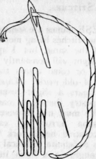 Chapter-III-Tapestry-Long-and-Short-and-Feather-St-12