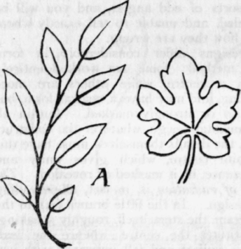 Chapter-IX-Lines-and-Curves-28