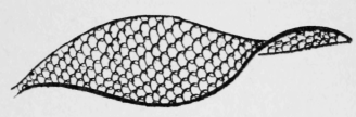107-Lace-Stitches-171