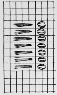 147-Rug-Stitch-230